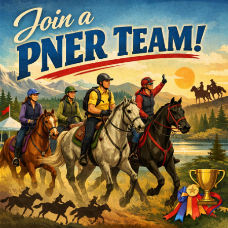 Picture for category Teams